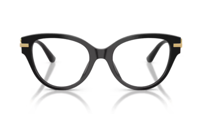 DOLCE & GABBANA 3438